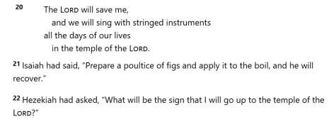 Isaiah 38 in the NIV